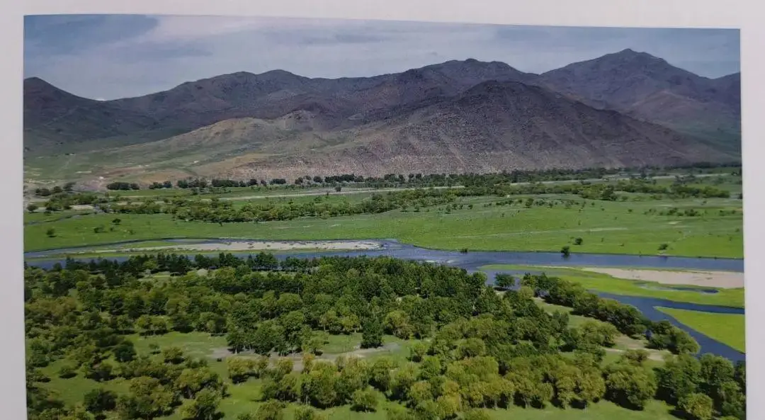 源千鹤-揭秘神秘网络人物：普通人逆袭成互联网英雄