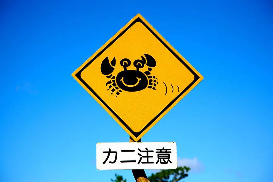 古怪猴子试玩_古怪猴子官网下载_古怪猴子手机版游戏下载