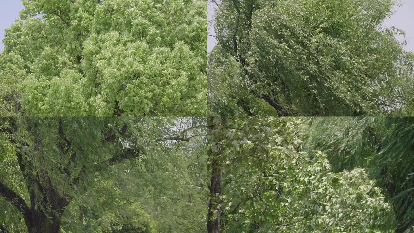 安卓版暴风影音5手机版下载_暴风影音版本大全手机版下载_暴风影音版本下载