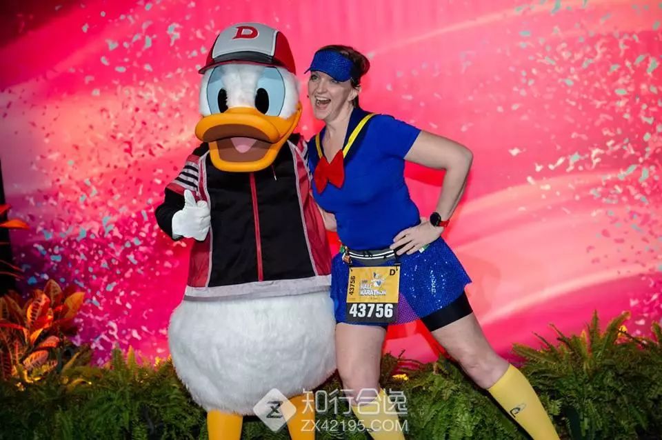 动物赛跑游戏图片_动物赛跑手机游戏_赛跑动物手机游戏