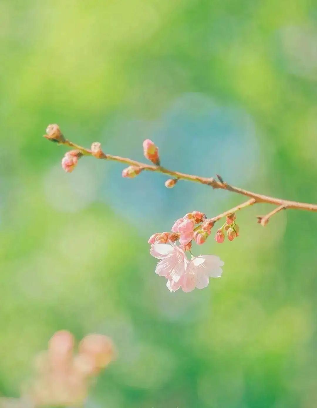 成功通关无限游戏手机版-通关无限游戏手机版：技巧大揭秘