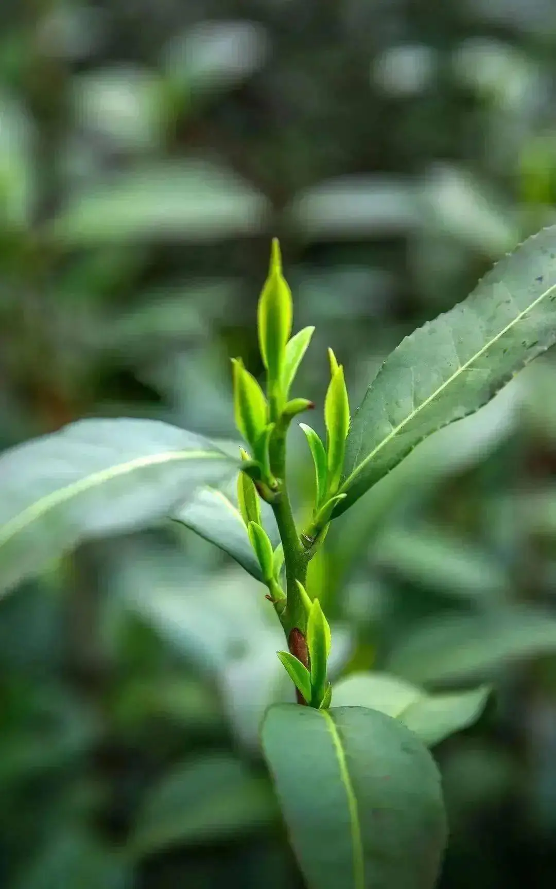 常熟哪里卖游戏手机卡_常熟卖卡手机游戏公司_常熟卖卡手机游戏店