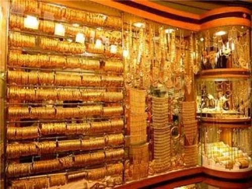 圣灵之心_圣灵心和龙星宇什么关系_圣灵心死了没