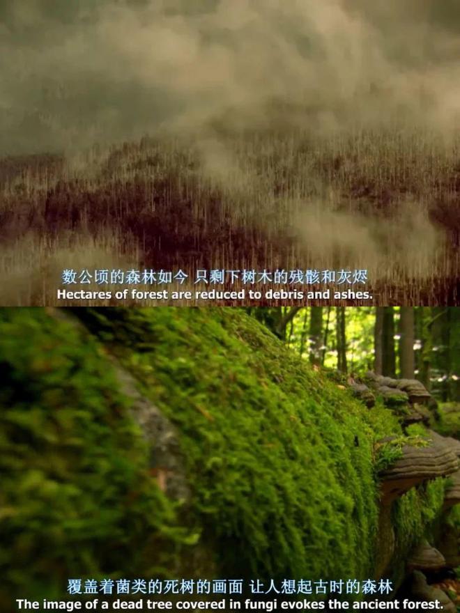 mountain游戏手机指令_指令游戏有哪些指令_指令手机版