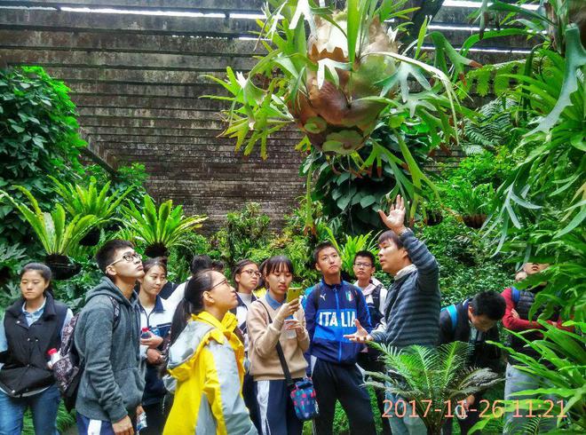 阿婆克烈_阿婆克列_阿婆克烈是什么