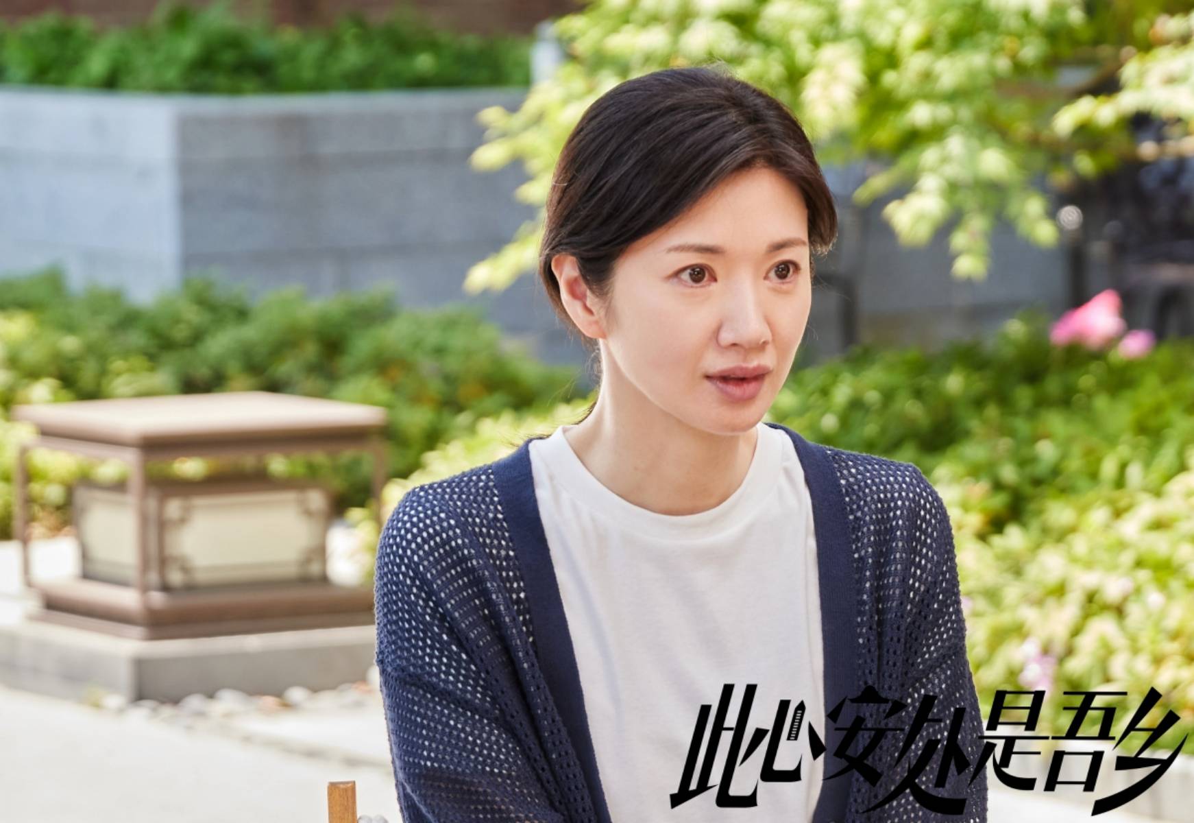 发现新北斗神拳：拥抱生活，追寻内心的平静与坚韧之道