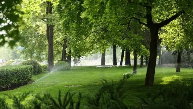 沙亚里公司_亚里沙_沙亚里拉