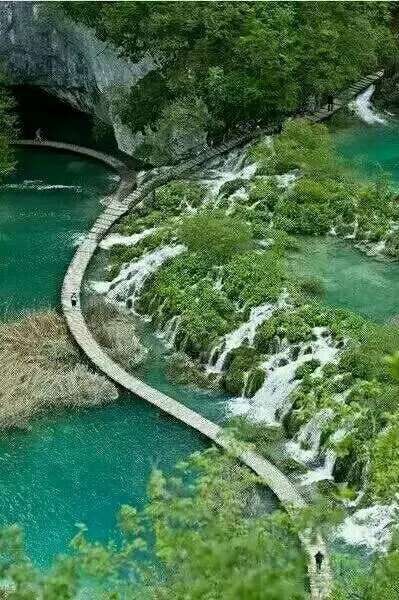 沙亚里公司_沙亚里拉_亚里沙