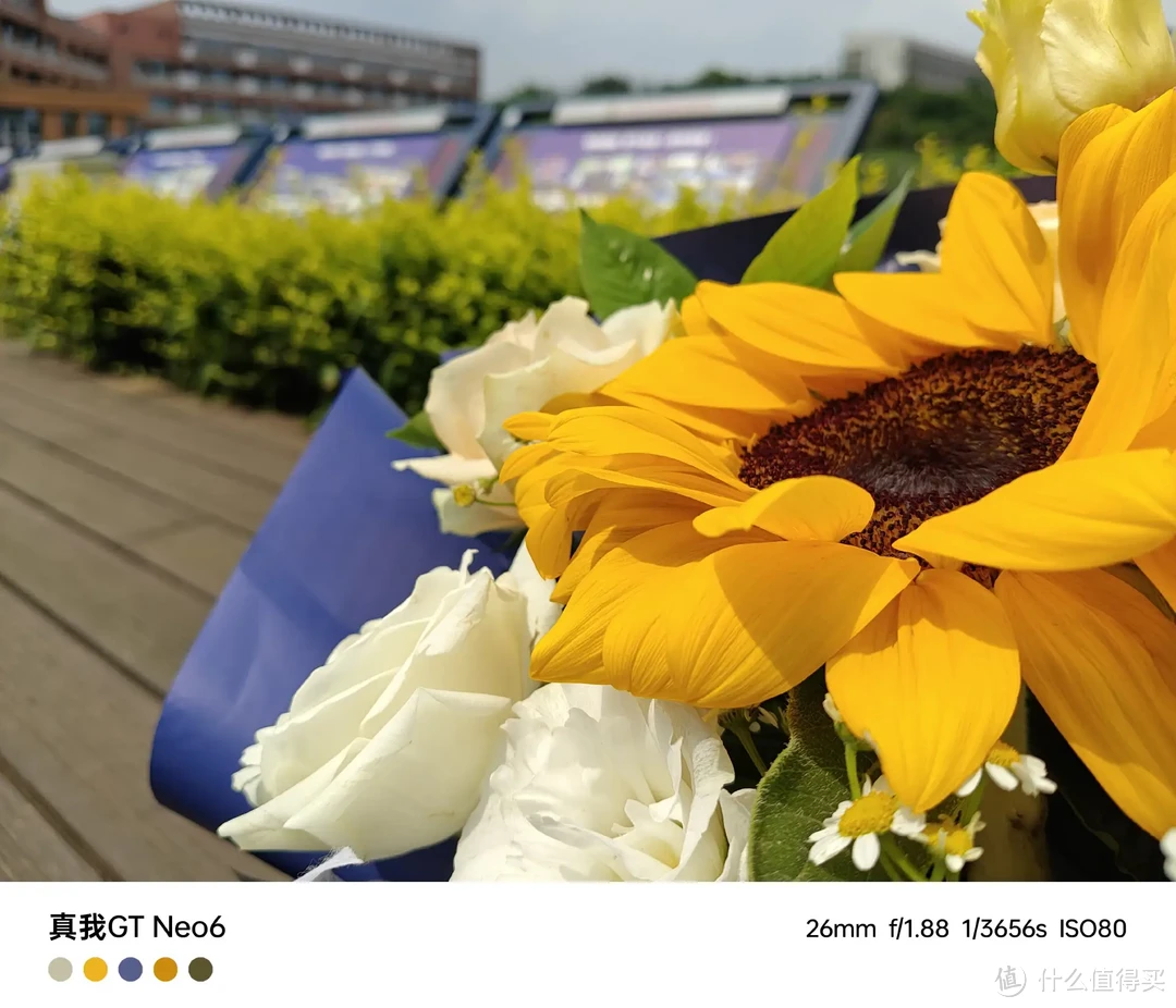 日历桌面：忙碌生活中的时光记录者与贴心助手