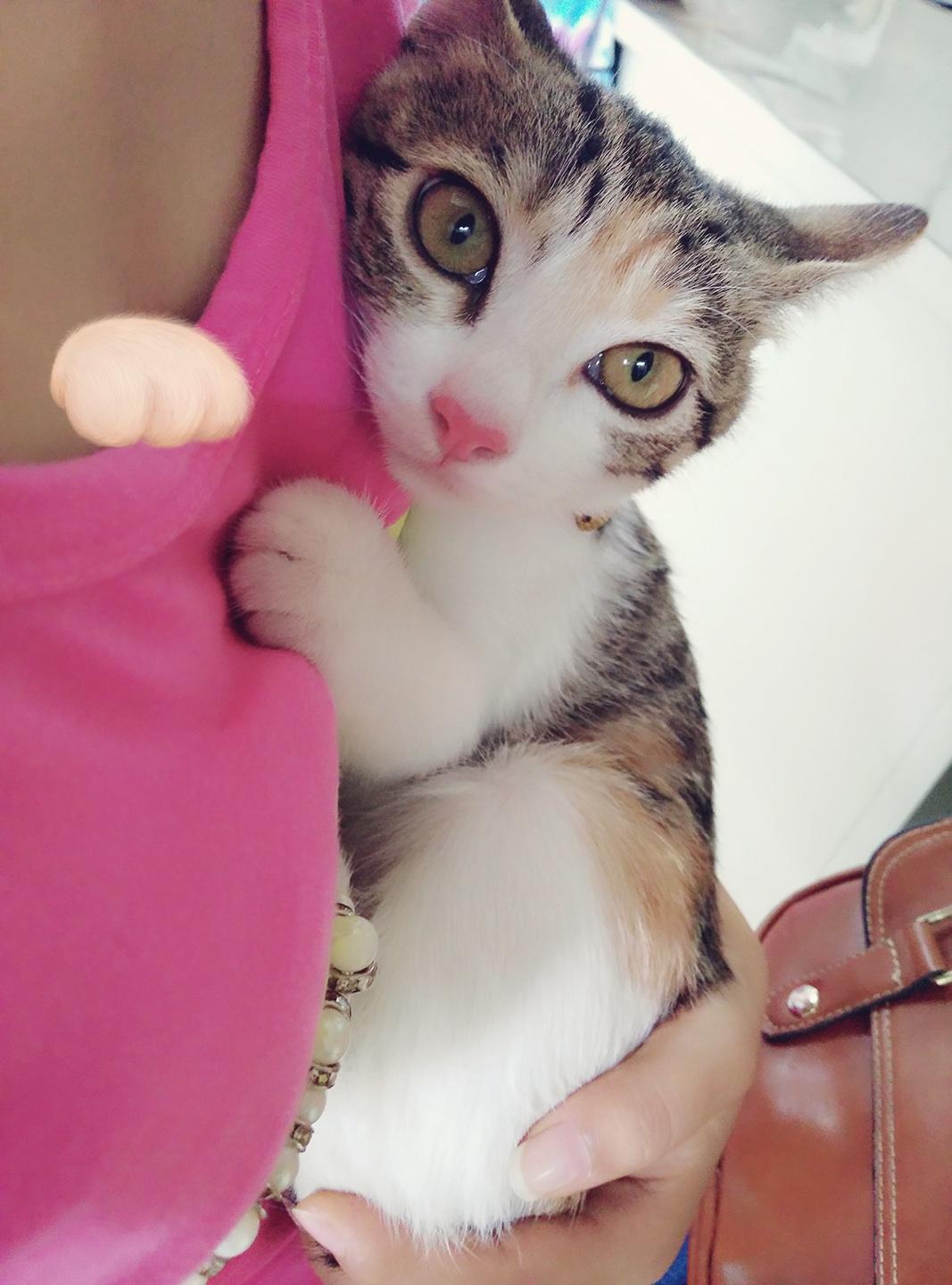 手机游戏98K_手机游戏推荐_9877手机手机游戏