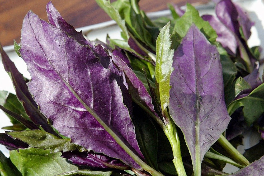 毒厂手游_有毒的手机游戏_毒的手机游戏