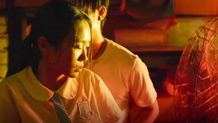 阿尔法狼伴归途在线高清免费观看-阿尔法狼伴归途：触动心灵的原