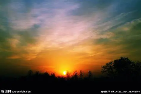 朔夜时雨_九十九朔夜_刀剑神域朔夜