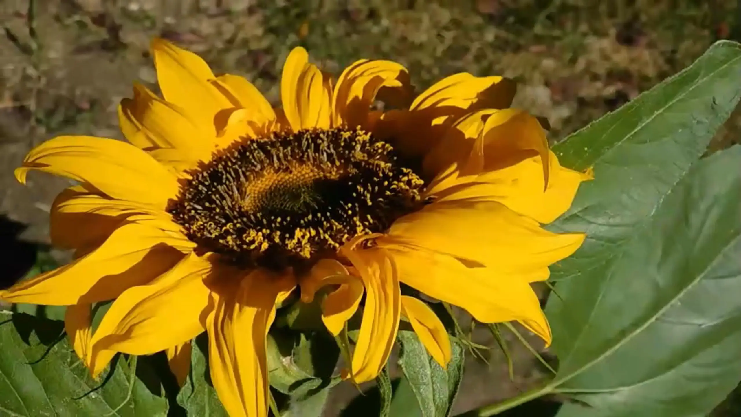 节日是指_6月28日是什么节日_节日的月日