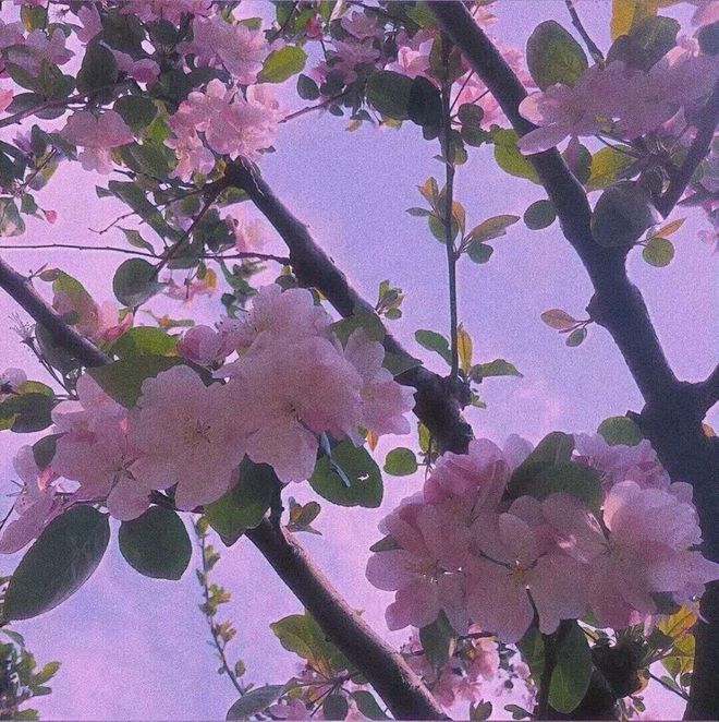 香椎美铃_香椎美铃_香椎美铃