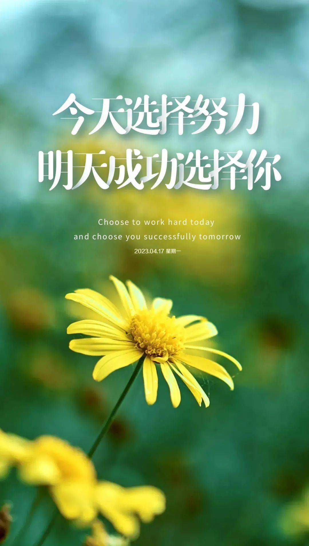 放逐手机游戏图片_放逐照片_放逐游戏地图图片