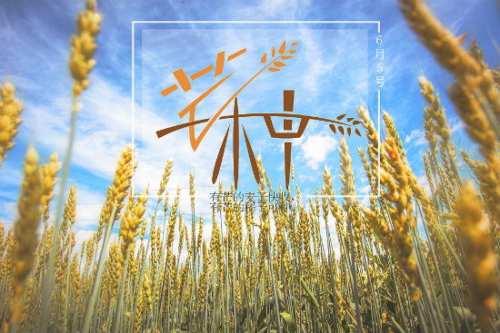 芒种的含义-芒种：拥抱温暖，聆听大自然的秘密信号