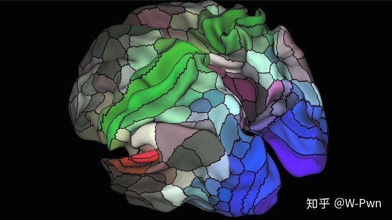 彩色的大脑手机游戏-挑战大脑极限的彩色大脑手机游戏，你敢来吗