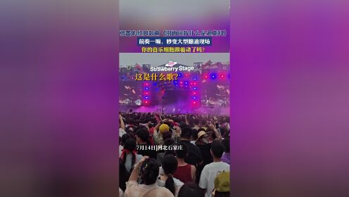 华为手表音乐怎么添加_手表华为添加音乐怎么设置_华为手表添加音乐