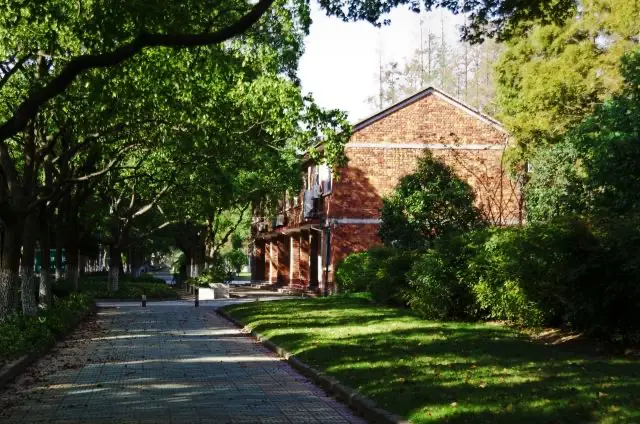 4寸照片实物参照图-4 寸照片：承载青春与回忆的珍贵印记