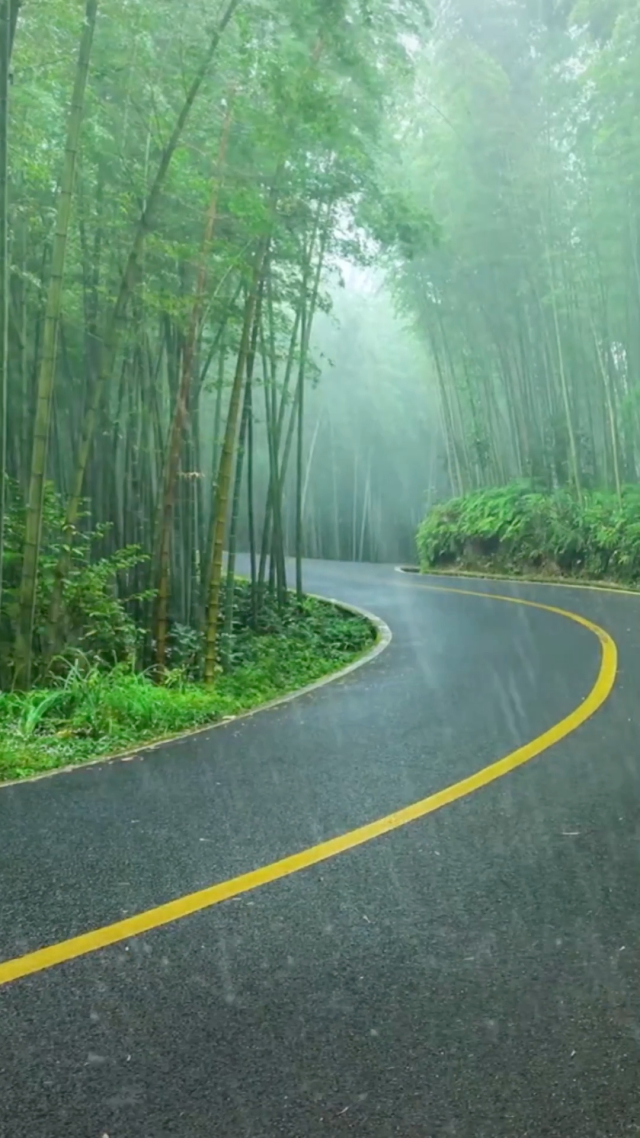 春雨手机摄影游戏_春雨摄影手机游戏怎么玩_春雨摄影手机游戏软件