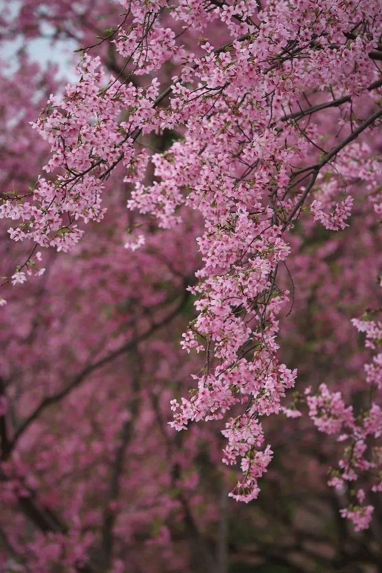 1月份_月份英语12个月_月份英语
