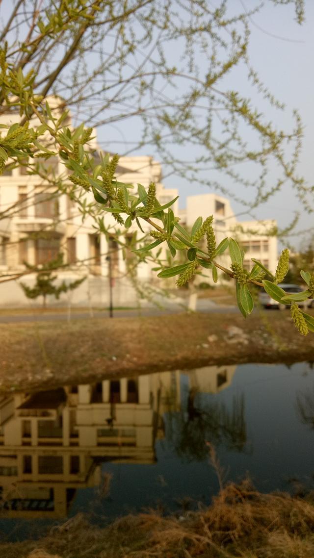 樱舞落花恋模样路线可攻略角色_樱花落舞恋模样攻略_樱舞落花恋模样