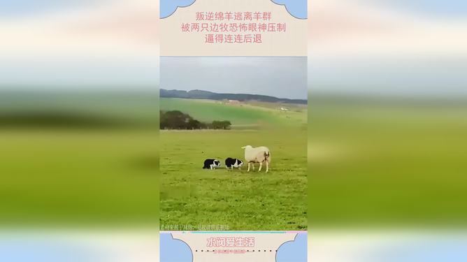 评分高的恐怖游戏手机_高分恐怖游戏手机_高质量恐怖手游