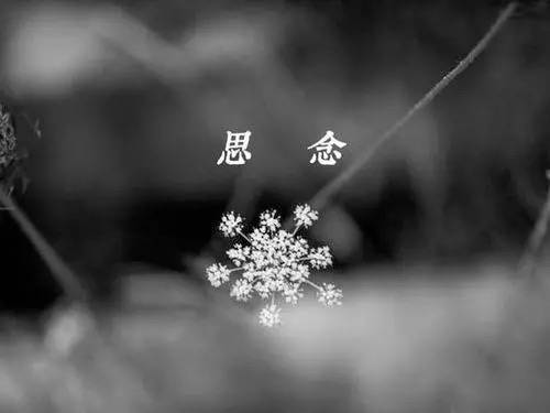 悲鸣屿行冥为什么是瞎子_悲鸣屿_悲鸣屿行冥结局
