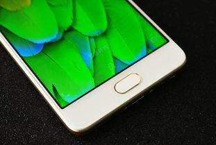 女生玩的手机游戏排行榜_打游戏手机多少寸合适女生_女生适合打的游戏