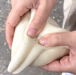 单机手机游戏角色扮演_单机手机游戏网_4g手机单机游戏