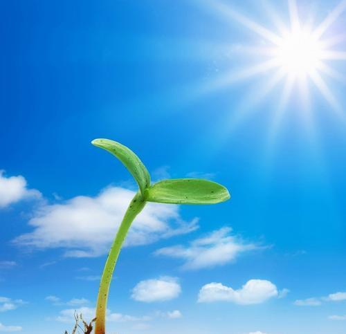 加奈子_加奈子_加奈子