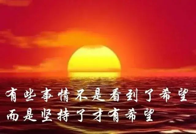 漫画家与助手们的默契合作：在小工作室中创造美妙乐章