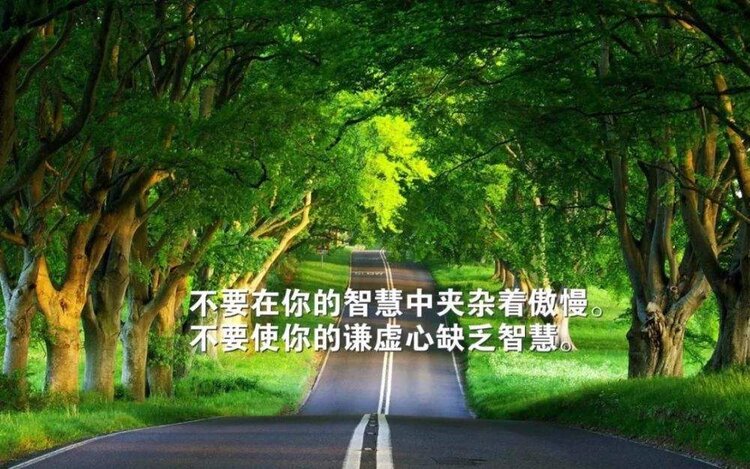佐州自救兄弟：平凡人的不平凡之路，用双手和智慧改变现状