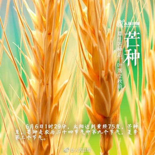 芒种是几月份_芒种是什么季节_芒种是什么