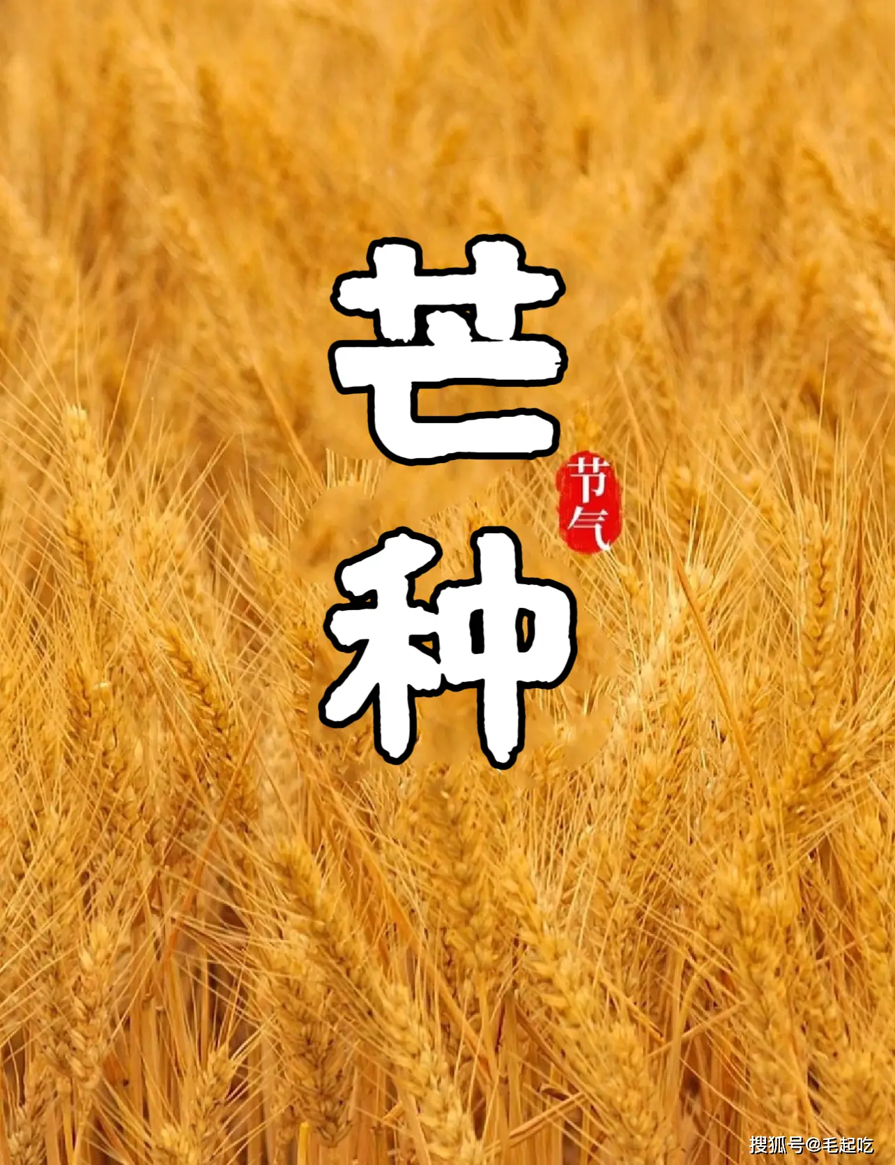 芒种是什么_芒种是什么季节_芒种是几月份