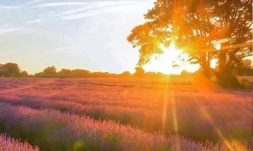 艾什莉_艾什莉盔甲_艾什莉.贾德