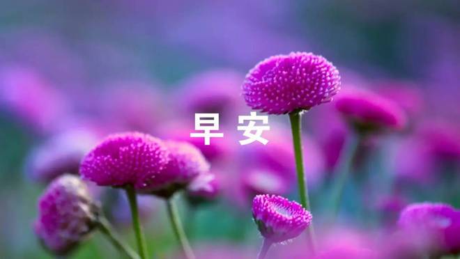 破解版手机游戏_三国志单机版手机游戏_vos游戏手机版