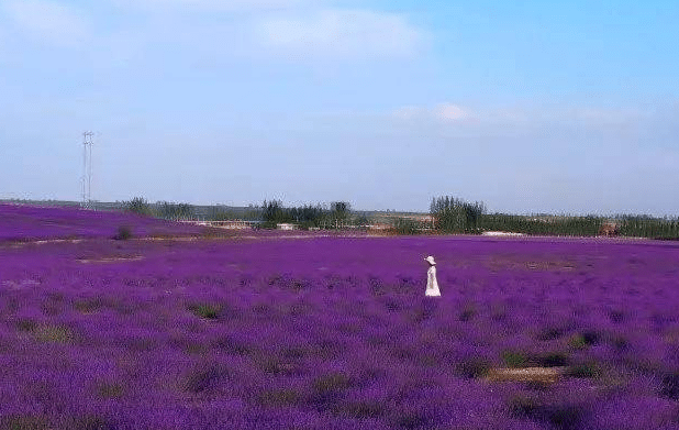 安庆游戏公司有哪些_安庆游戏合集_安庆手机游戏