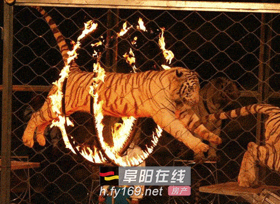 黎明之剑官方地图_黎明之剑地图_黎明之剑地图高清