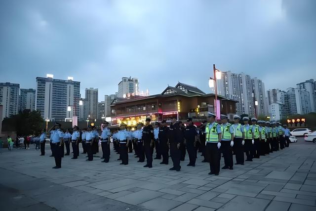 胖嘟嘟的小猫胖达：让人又爱又恨的可爱家伙