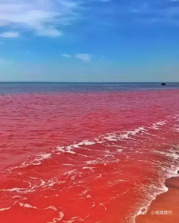 在扭曲界域中迷失：探索被遗忘的诡异之地