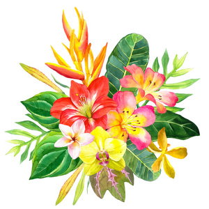 花之天使的夏日恋歌-夏日恋歌：园丁与花海的邂逅，感受花之天使