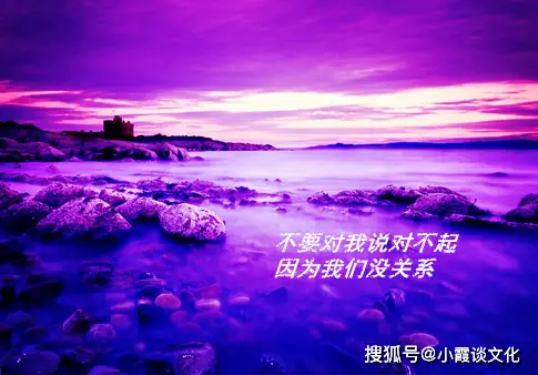 电影忠犬八公在线观看完整_电影忠犬八公国语在线观看完整_忠犬八公电影免费完整版