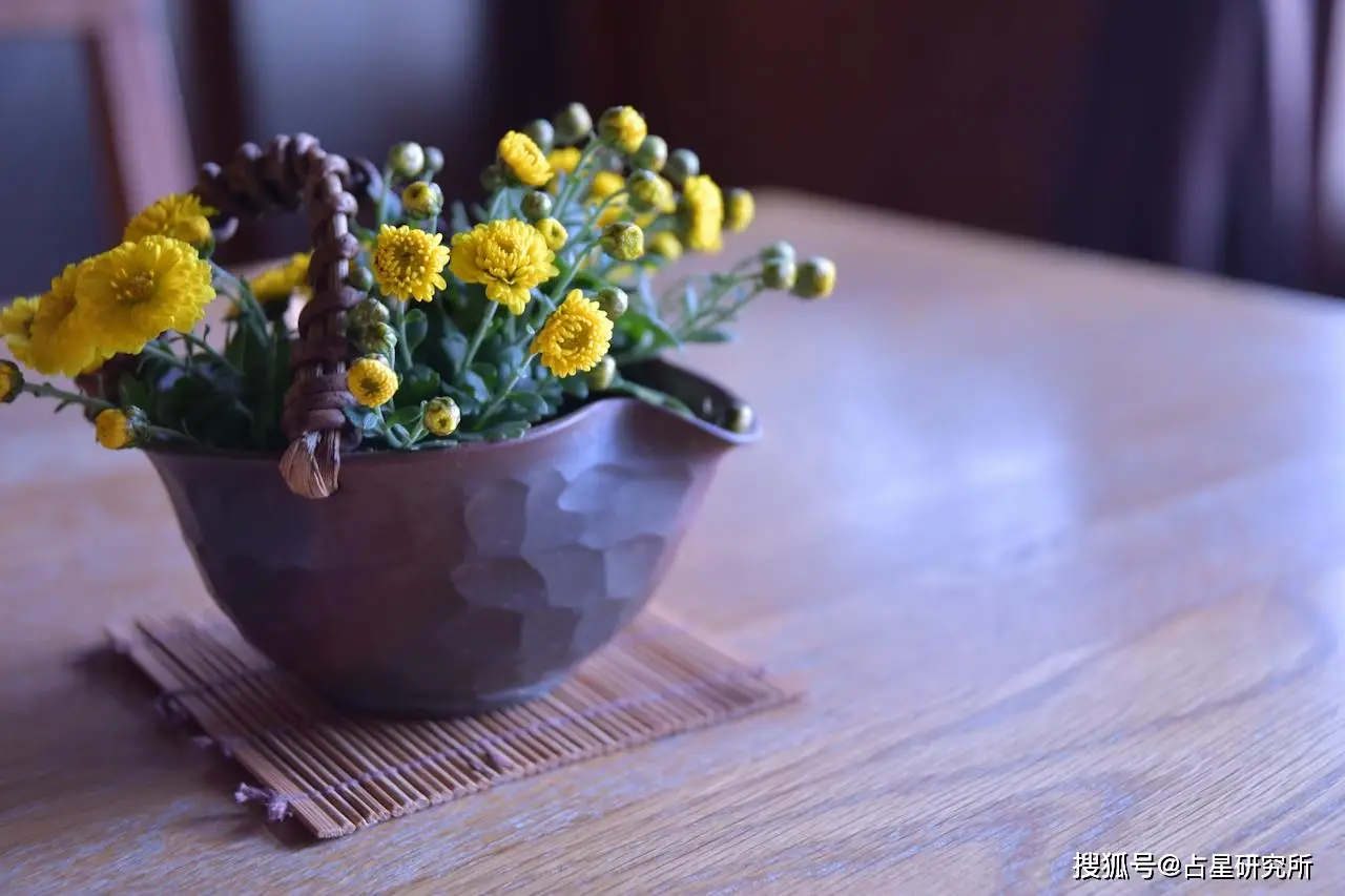 兰斯4-兰斯 4：情感迷宫中的青春象征与冒险之旅