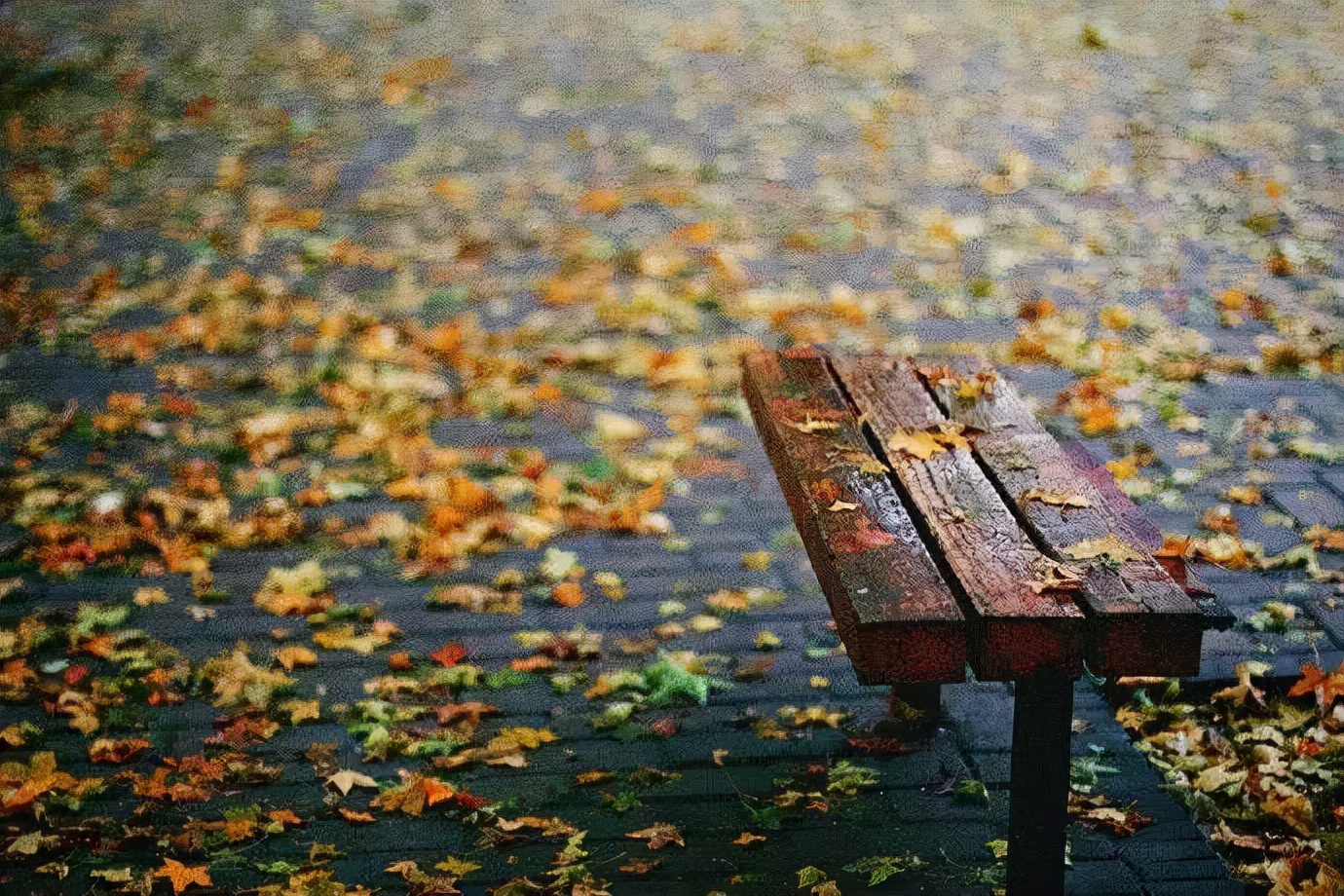 黄梅时节_时节黄梅雨_黄梅时节打一个字