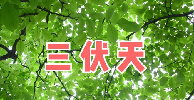 三伏天具体时间-三伏天热力全开，养生时机不容错过