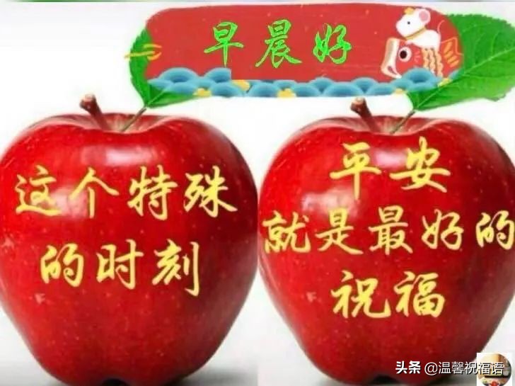铃原：我心中的净土，灵魂深处的避风港