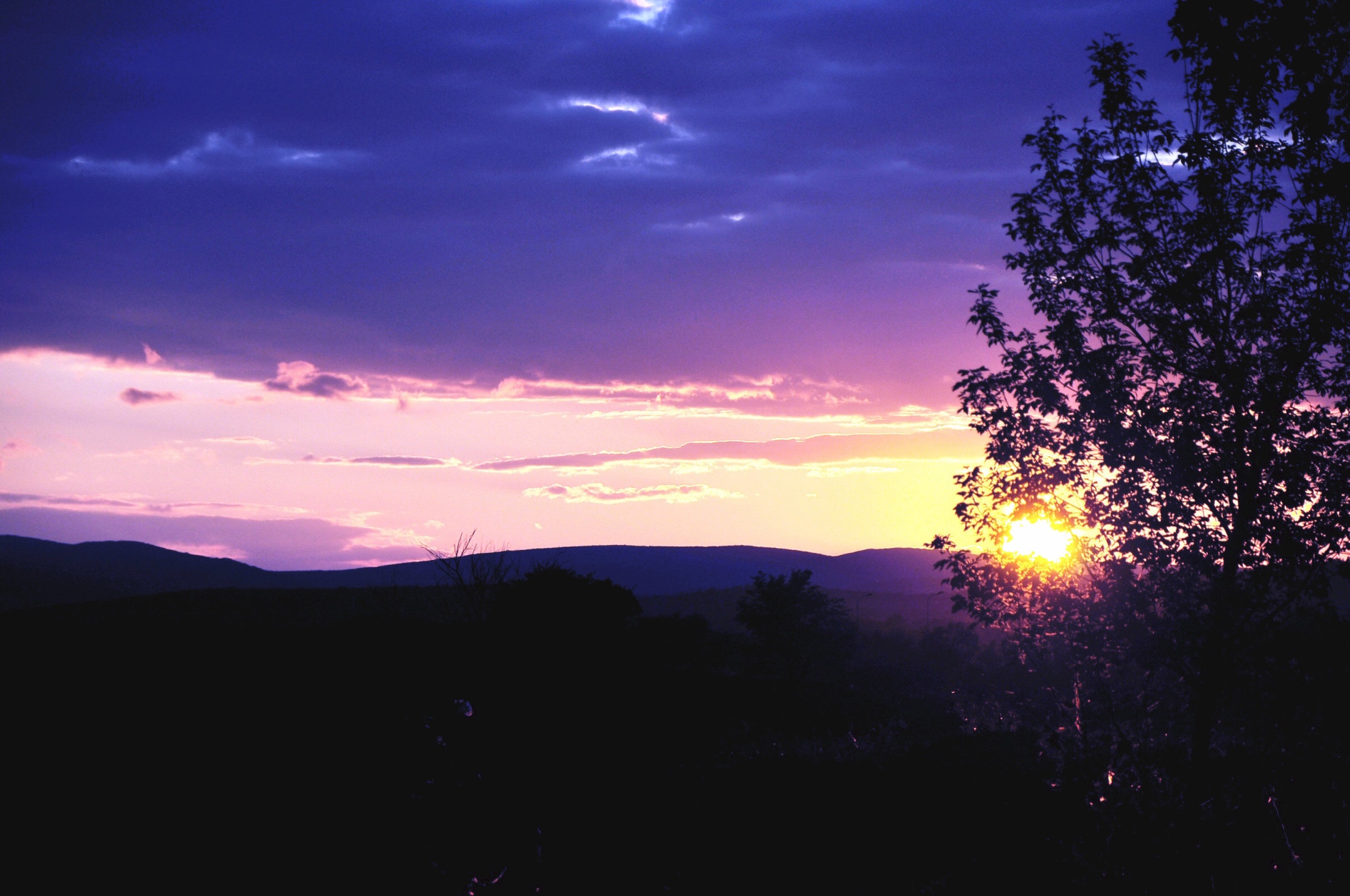 风间_风间千景_风间俊介