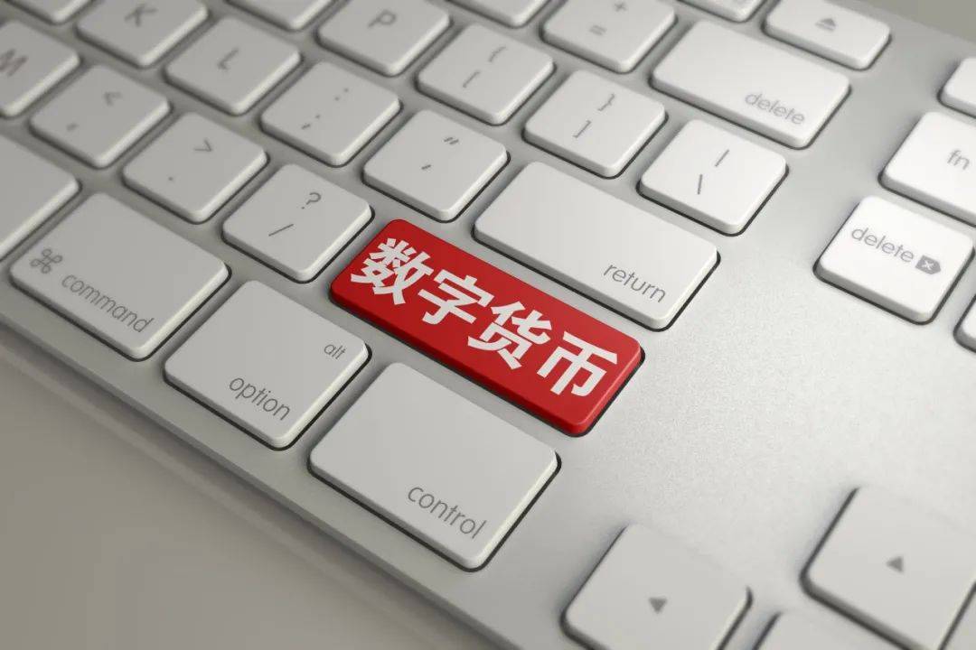 币赢交易所：币圈游乐场，刺激与风险并存，客服暖心相伴